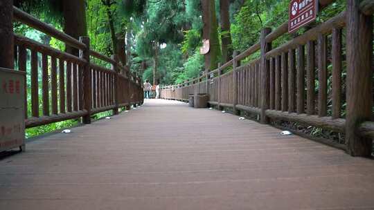 峨眉山 七里坪 公园 森林 青山绿水