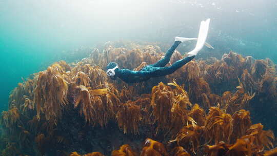 深海潜水