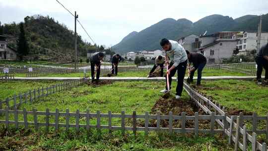 劳动空镜刨土锄地农场工人耕作劳作翻土