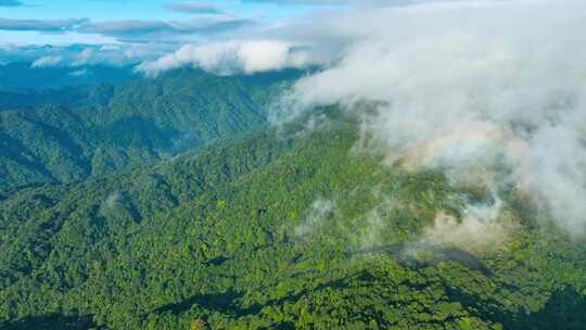 航拍山川原始森林云雾缭绕