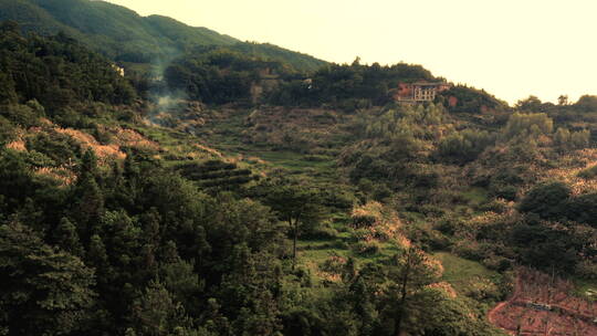 西藏林芝山间峡谷航拍