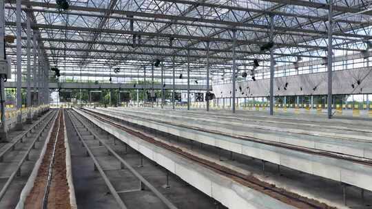 现代农业大棚内部场景