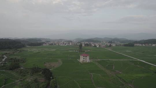 航拍乡村田野风光log素材