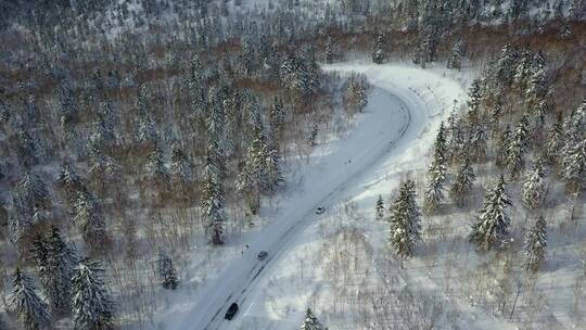 日本北海道大雪山国家公园森林公路视频素材模板下载