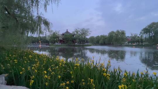 北京圆明园余晖下的春日风光