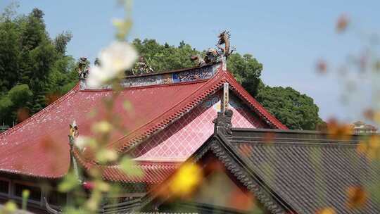 寺院历史古建筑屋顶视频素材模板下载