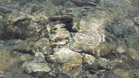 波光粼粼清澈见底的河水视频素材模板下载