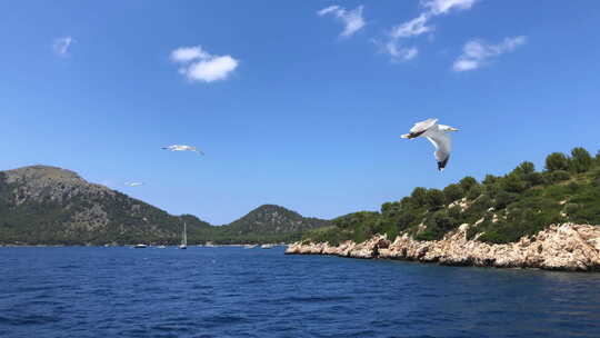 人们在船上享受夏日航行或在海滩上度过阳光明媚的一天