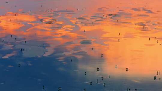 海滩海边日出朝霞唯美天空之镜火烧云