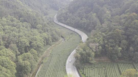 杭州西湖梅家坞茶园茶山视频素材模板下载