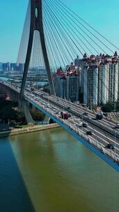 竖屏航拍广州东沙大桥