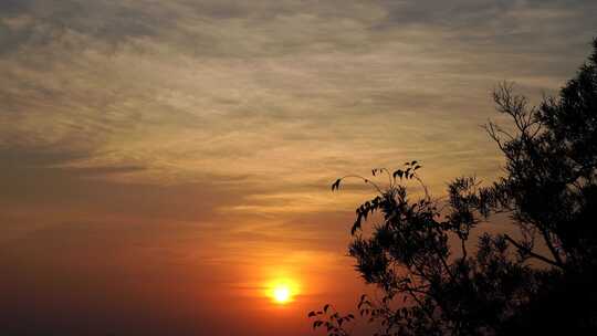 唯美夕阳晚霞日出早霞日落树枝树叶风景