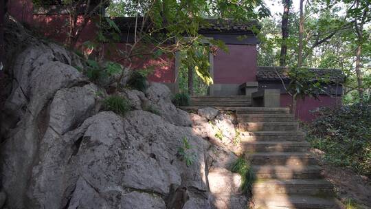 杭州玉皇山景区天龙寺