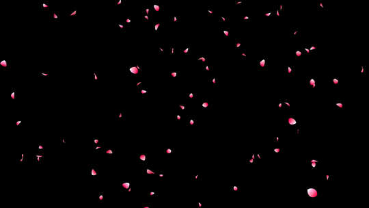 飘落的粉色玫瑰花瓣透明通道