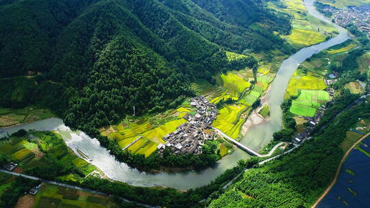 蜿蜒的江河从山间金色稻田和村庄穿流而过视频素材模板下载