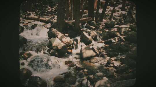 河流在森林8毫米电影风格的岩石上瀑布