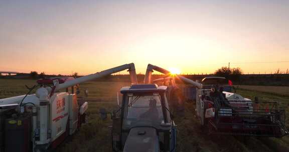 夕阳下收割机在水稻田收割稻谷航拍