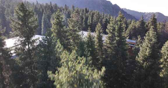 天山天池秋景航拍