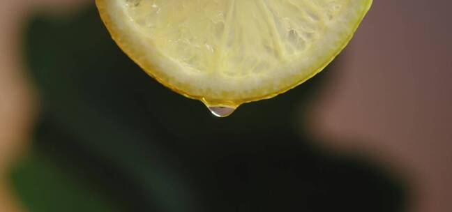 从新鲜柠檬片上滴落的水滴