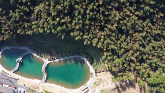 杭州西山森林公园竹林竹山竹海