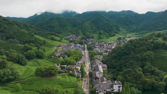 杭州西湖龙井茶园梅家坞清新茶山