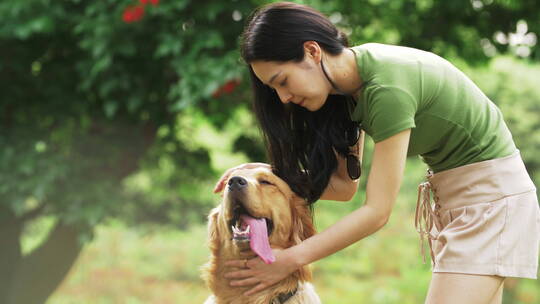 美女和金毛犬在夏天公园里玩耍