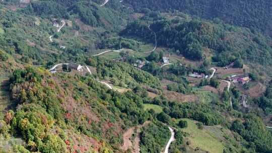 秦岭森林秋色山路