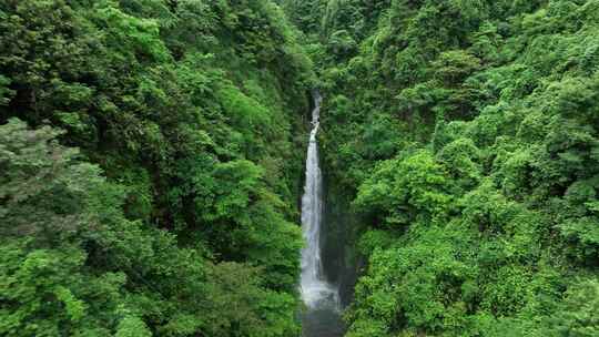 原生态山谷溪流