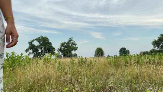 宁静的乡村漫步乡村生活方式的乐趣