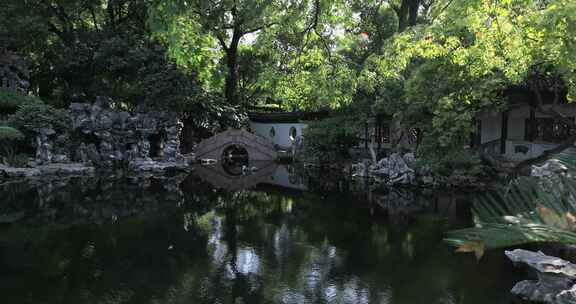 阳光绿植太湖石园林庭院水景特写 沉浸式