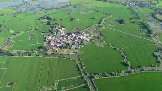 新农村乡村农民田野三农航拍