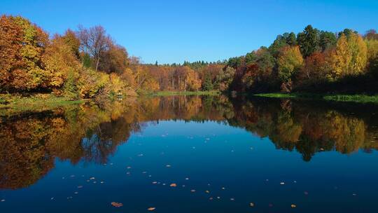 湖上五颜六色的秋天森林