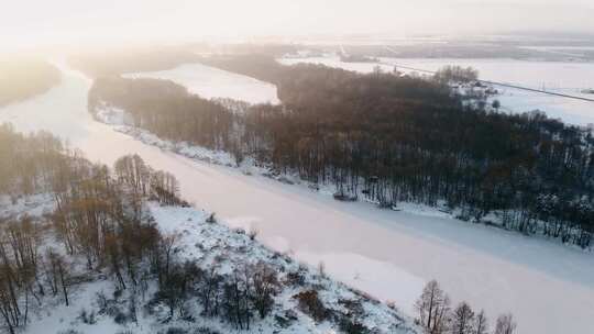 白雪覆盖的森林