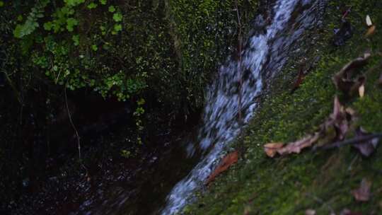 山涧溪流