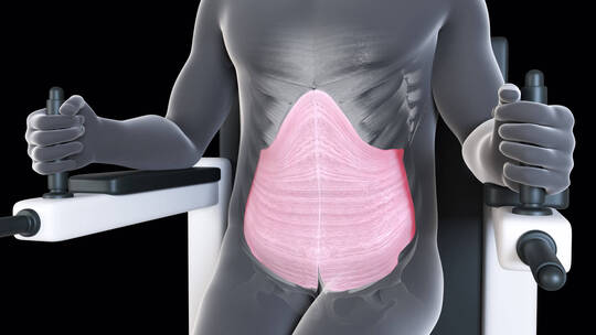 医疗运动健身时显示的人体腹部肌肉动画视频素材模板下载