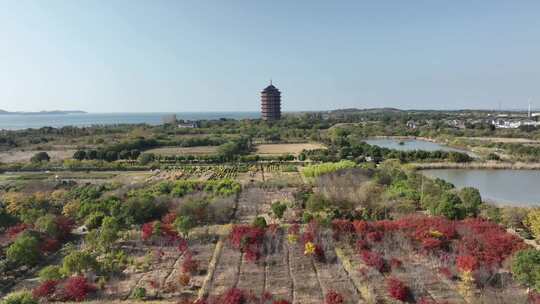 苏州太湖湿地公园（航拍视频原片素材）