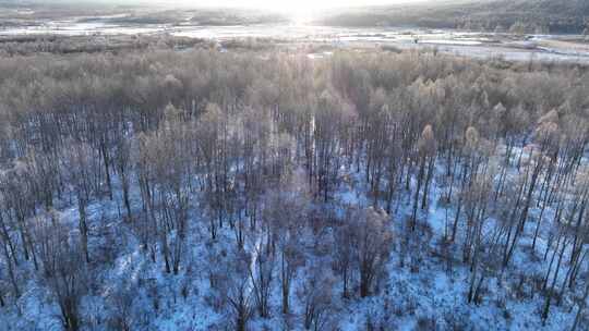 航拍雪原阳光树林雾凇