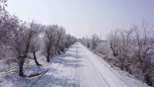 冬天乡村道路凇雪景