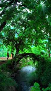 茅井村丰富的文化底蕴和美丽的自然景观
