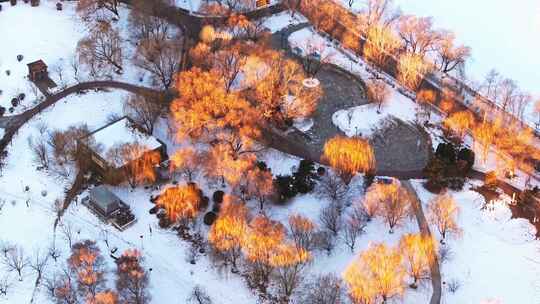 东北本溪水洞冬季雾凇树挂阳光唯美雪景航拍