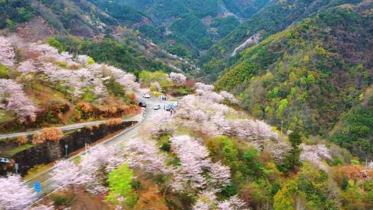 治愈系风景，愿您喜欢！治愈风景，大自然