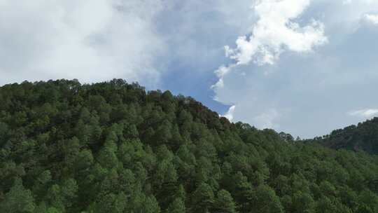 航拍四川凉山彝族自治州盐源县山林