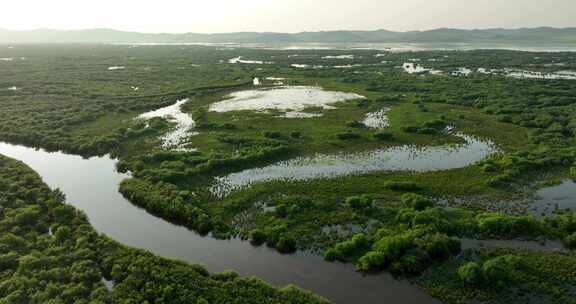 额尔古纳湿地航拍原素材