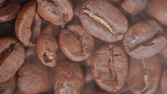 咖啡种子特写