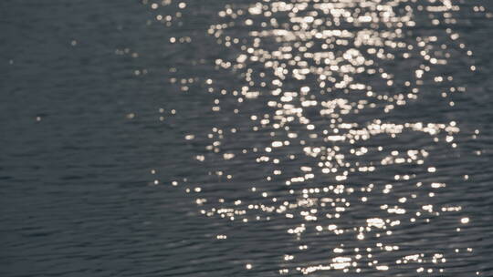 夕阳下波光粼粼的腾冲北海湿地