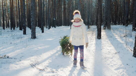 女孩拉着圣诞树在雪地行走