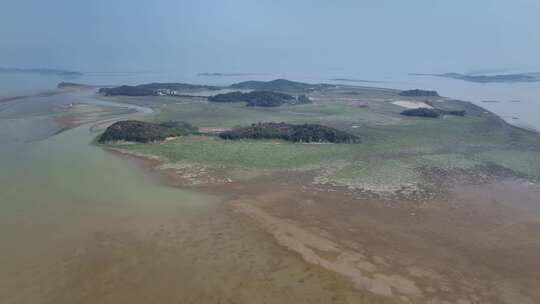 九江市都昌县周溪镇鄱阳湖湿地航拍自然风光