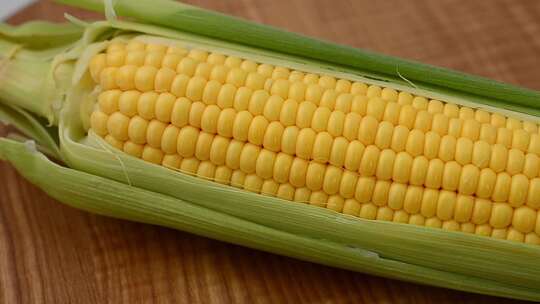 玉米实拍 新鲜玉米