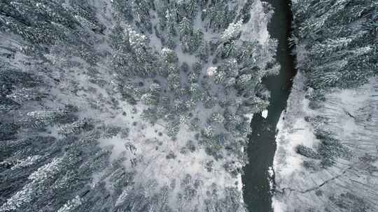 山，冬天，雪，树