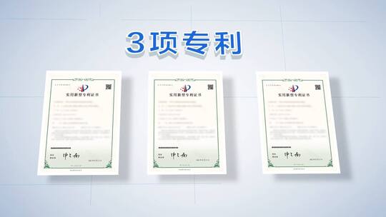 荣誉专利成果奖牌展示